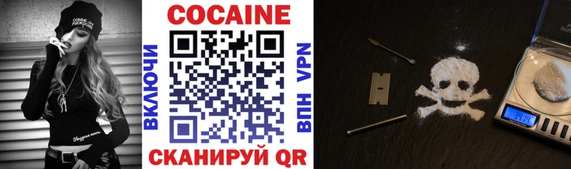 COCAIN FishScale  Купить закладки  Циолковский 
