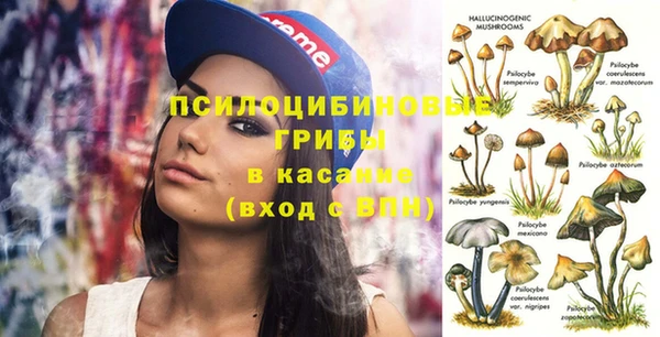 бошки Зеленодольск