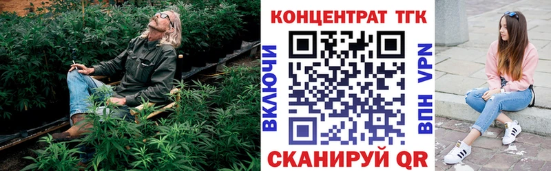 Купить закладки  Циолковский  ТГК жижа 