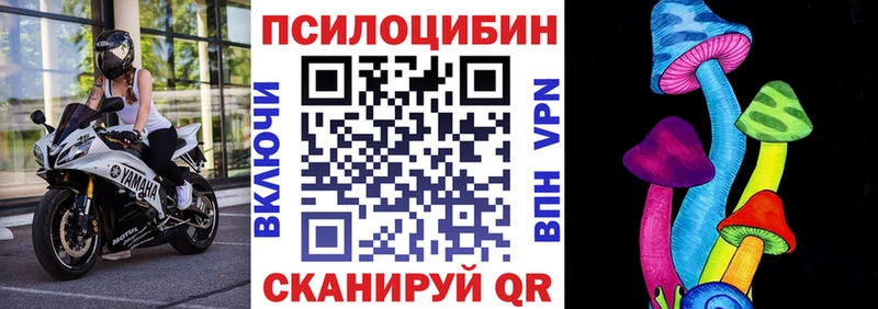 Купить  Циолковский  Псилоцибиновые грибы MAGIC MUSHROOMS 