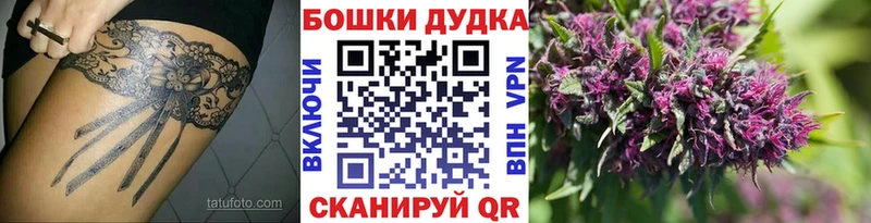 Купить где  Циолковский  Марихуана White Widow 